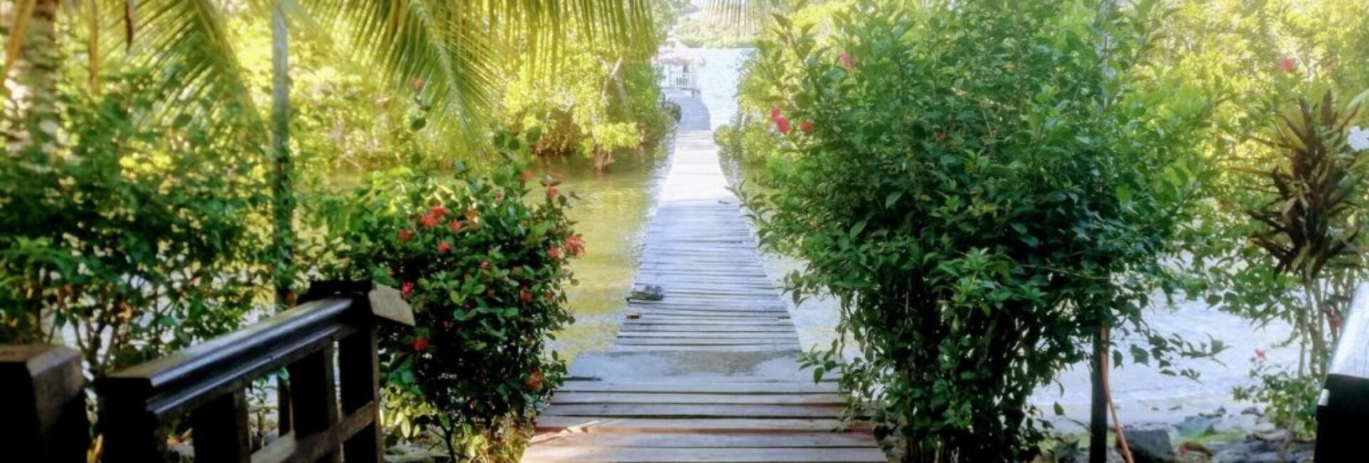 Maison sécurisé avec ponton, mangrove
