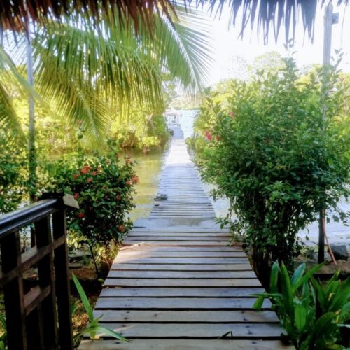 Maison sécurisé avec ponton, mangrove